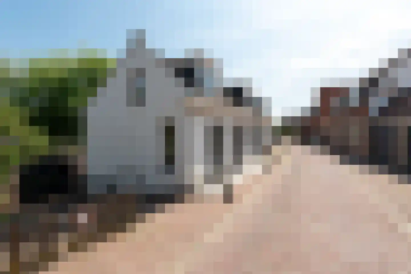 Walsland 2 Vianen thumbnail 54