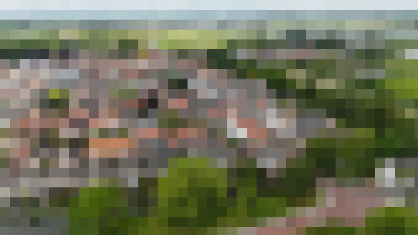 Walsland 2 Vianen thumbnail 56