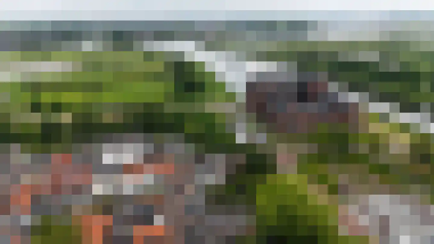 Walsland 2 Vianen thumbnail 57