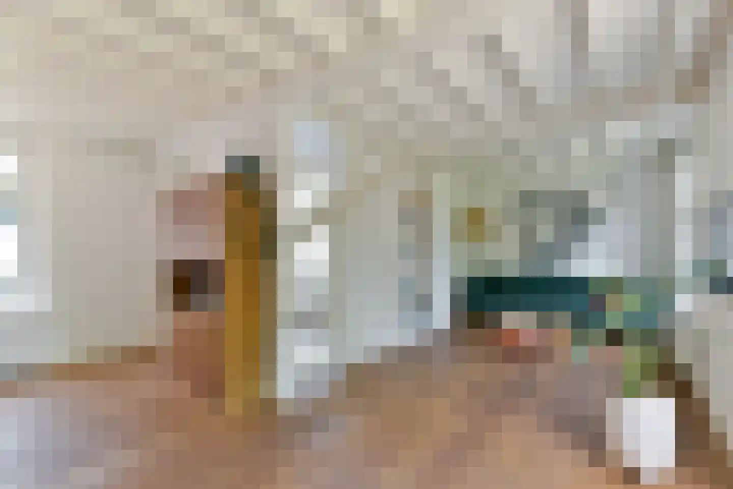 Walsland 2 Vianen thumbnail 7