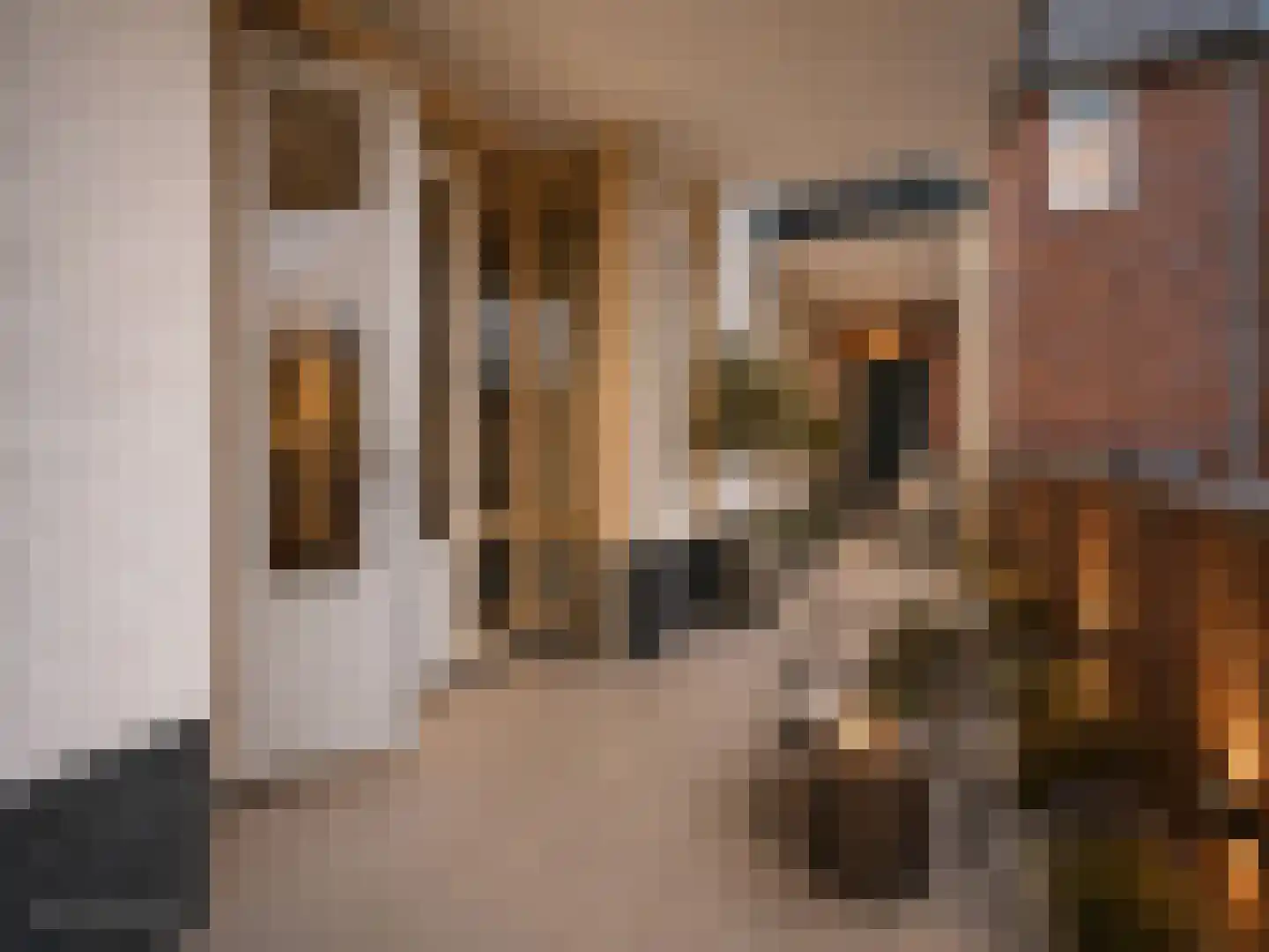 Walsland 58 Vianen thumbnail 16