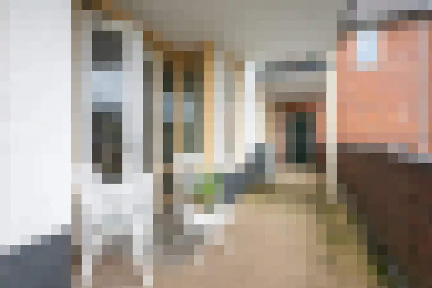 Walsland 58 Vianen thumbnail 17