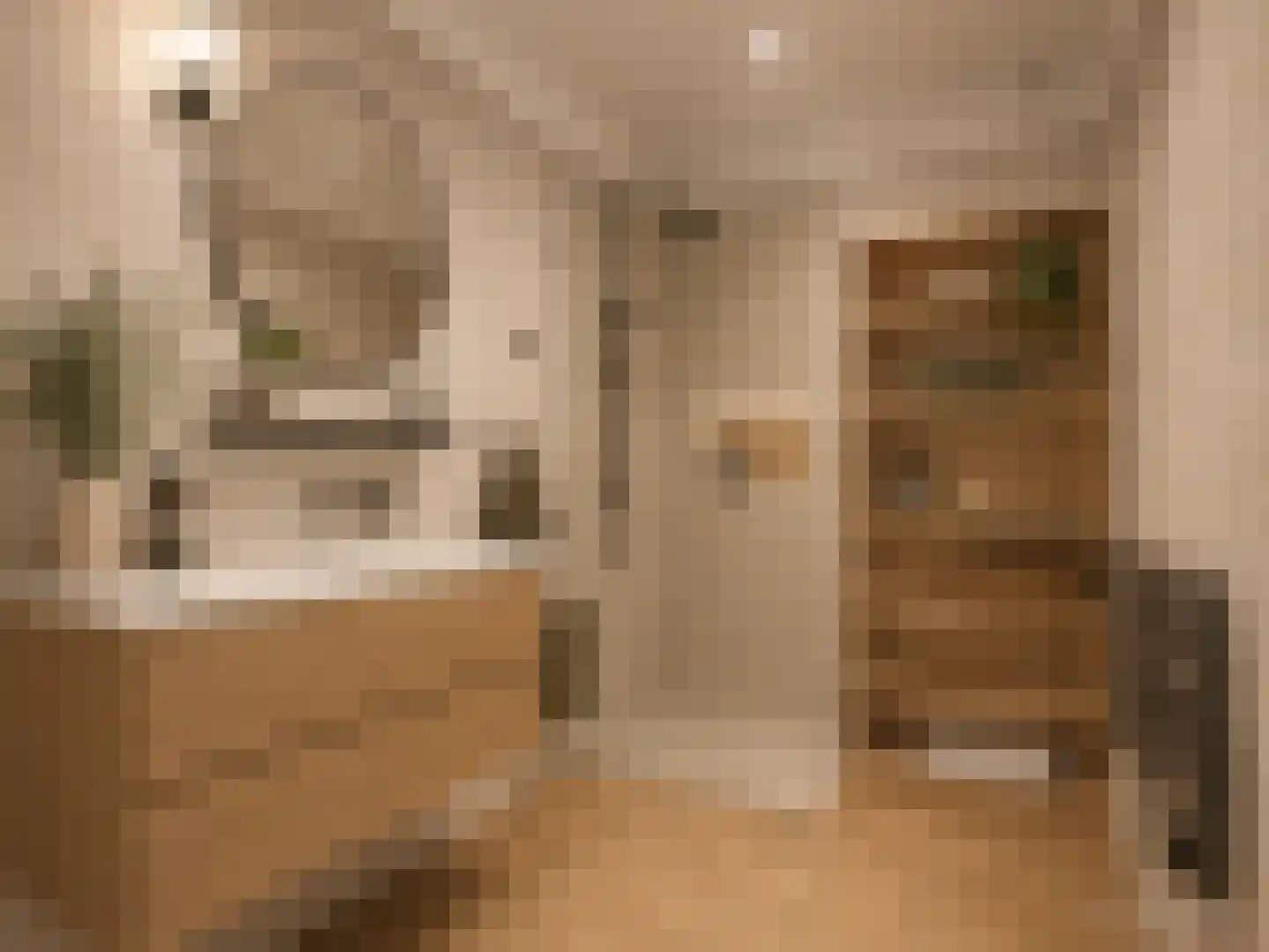 Walsland 58 Vianen thumbnail 29