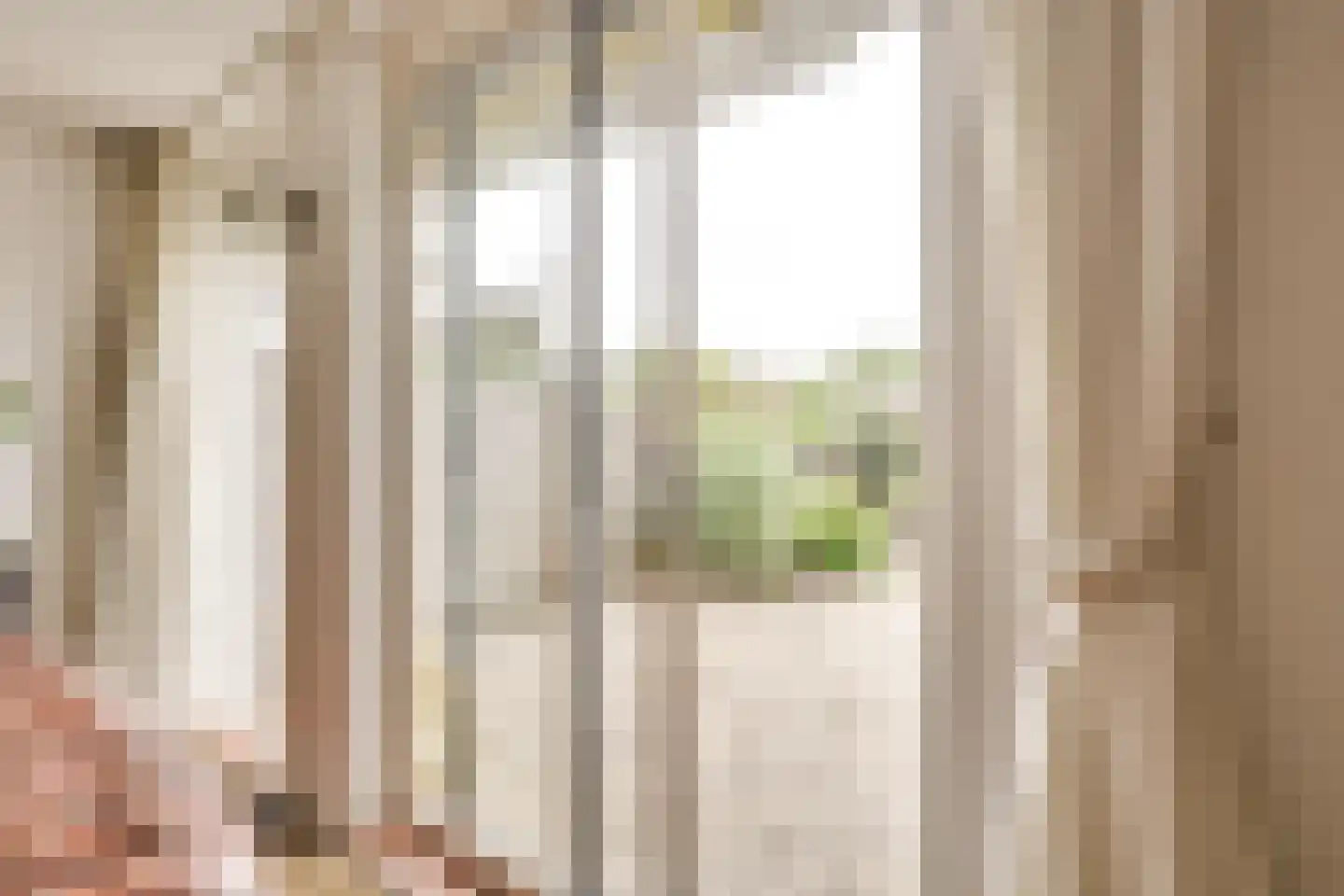 Walsland 76 Vianen thumbnail 13
