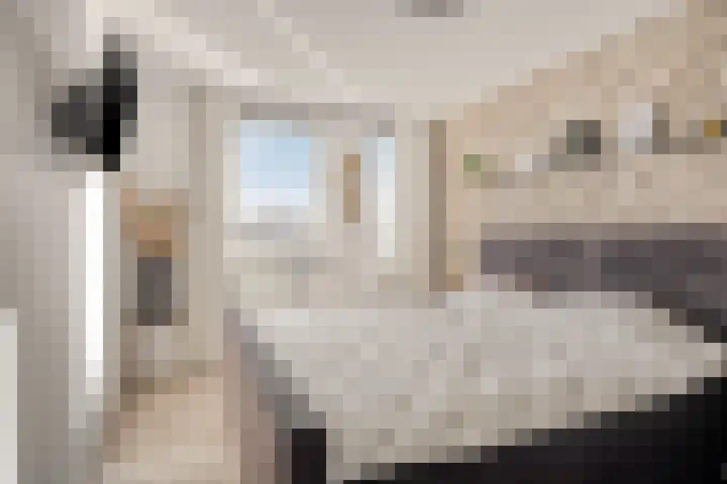 Walsland 82 Vianen thumbnail 17
