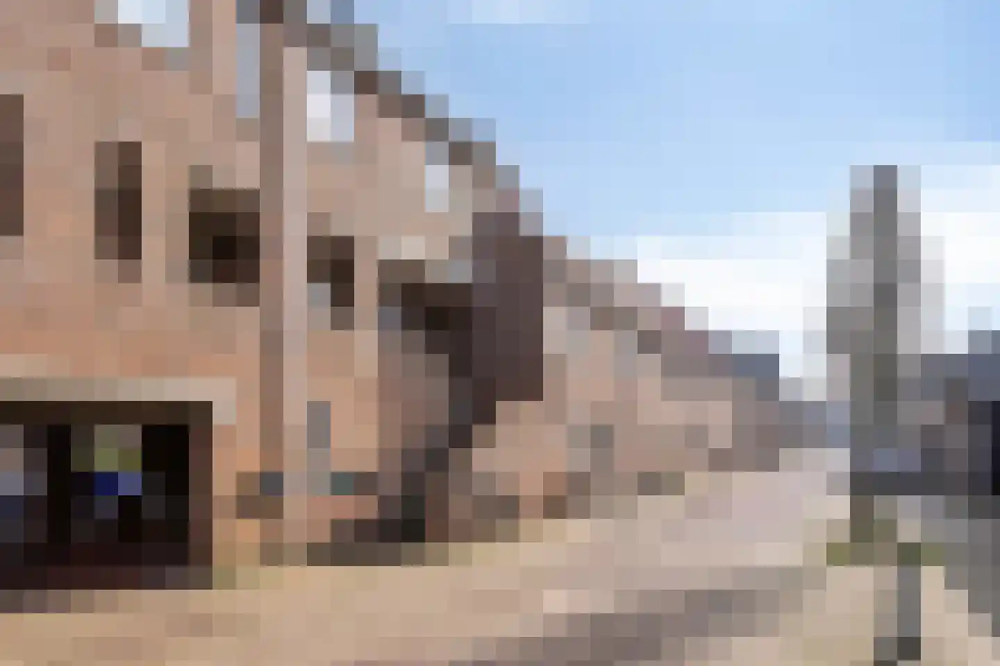 Walsland 82 Vianen thumbnail 33