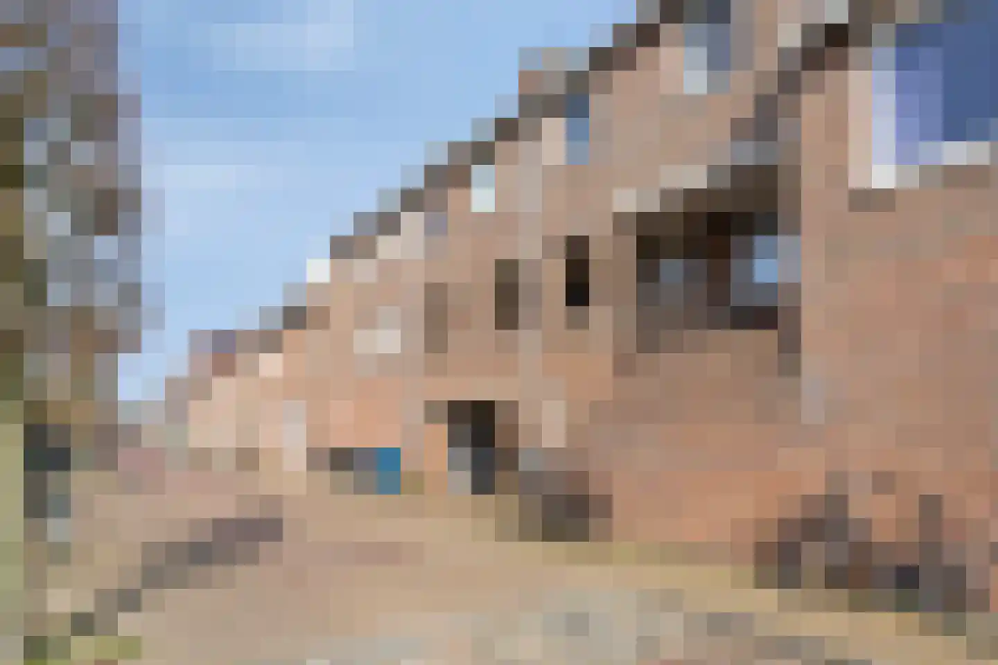 Walsland 82 Vianen thumbnail 34