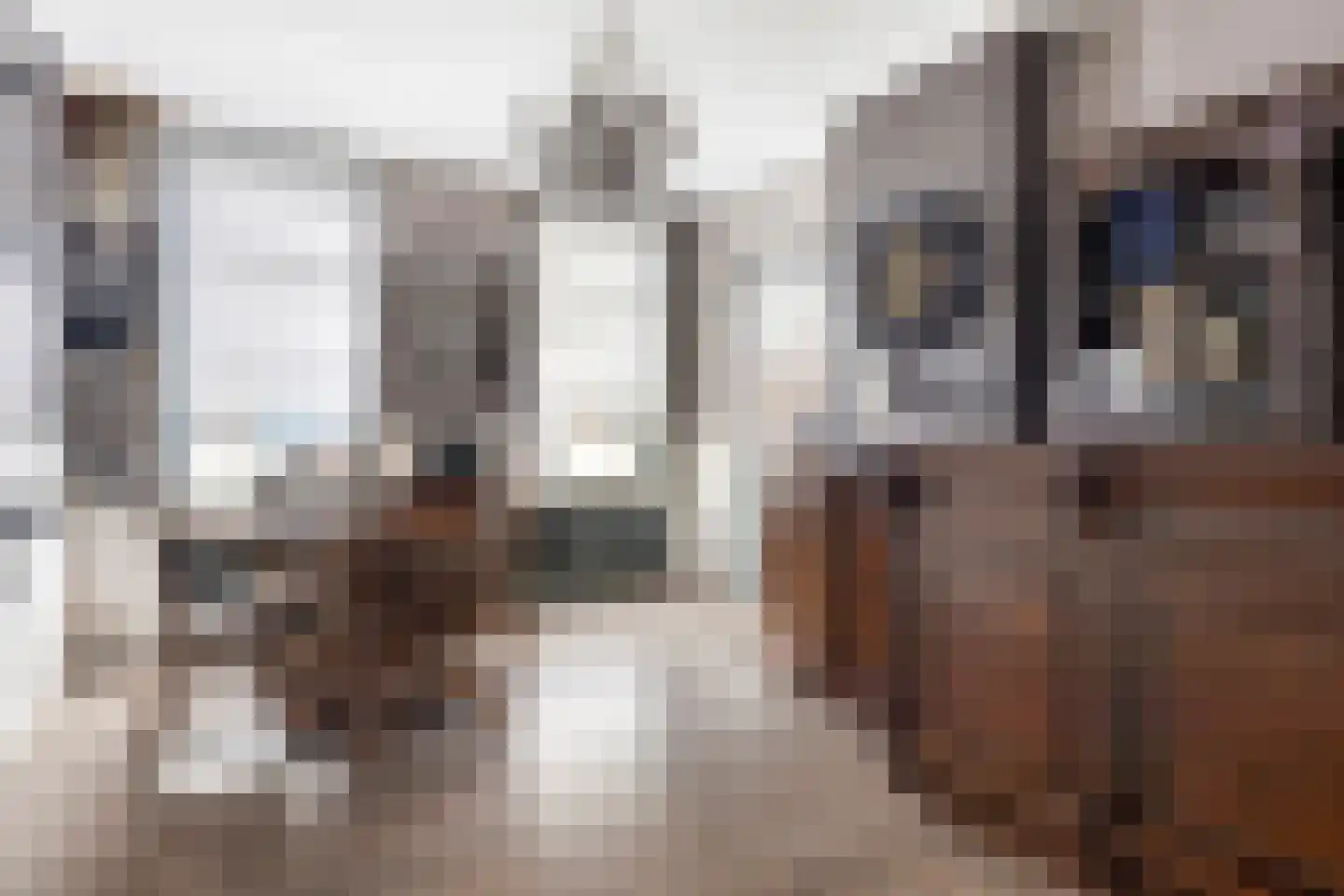 Walsoordensestraat 17 Walsoorden thumbnail 12