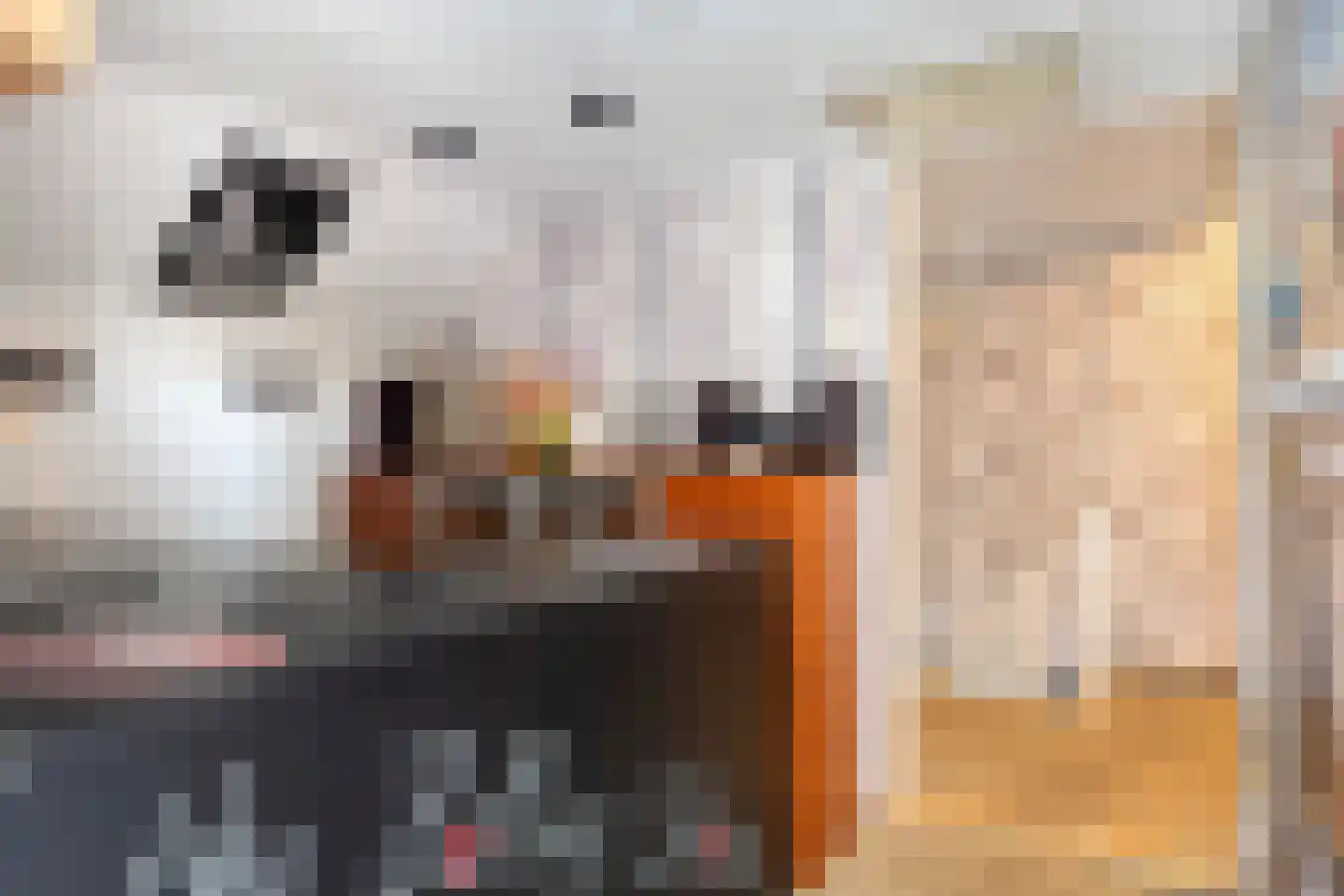 Walsoordensestraat 28 Walsoorden thumbnail 18