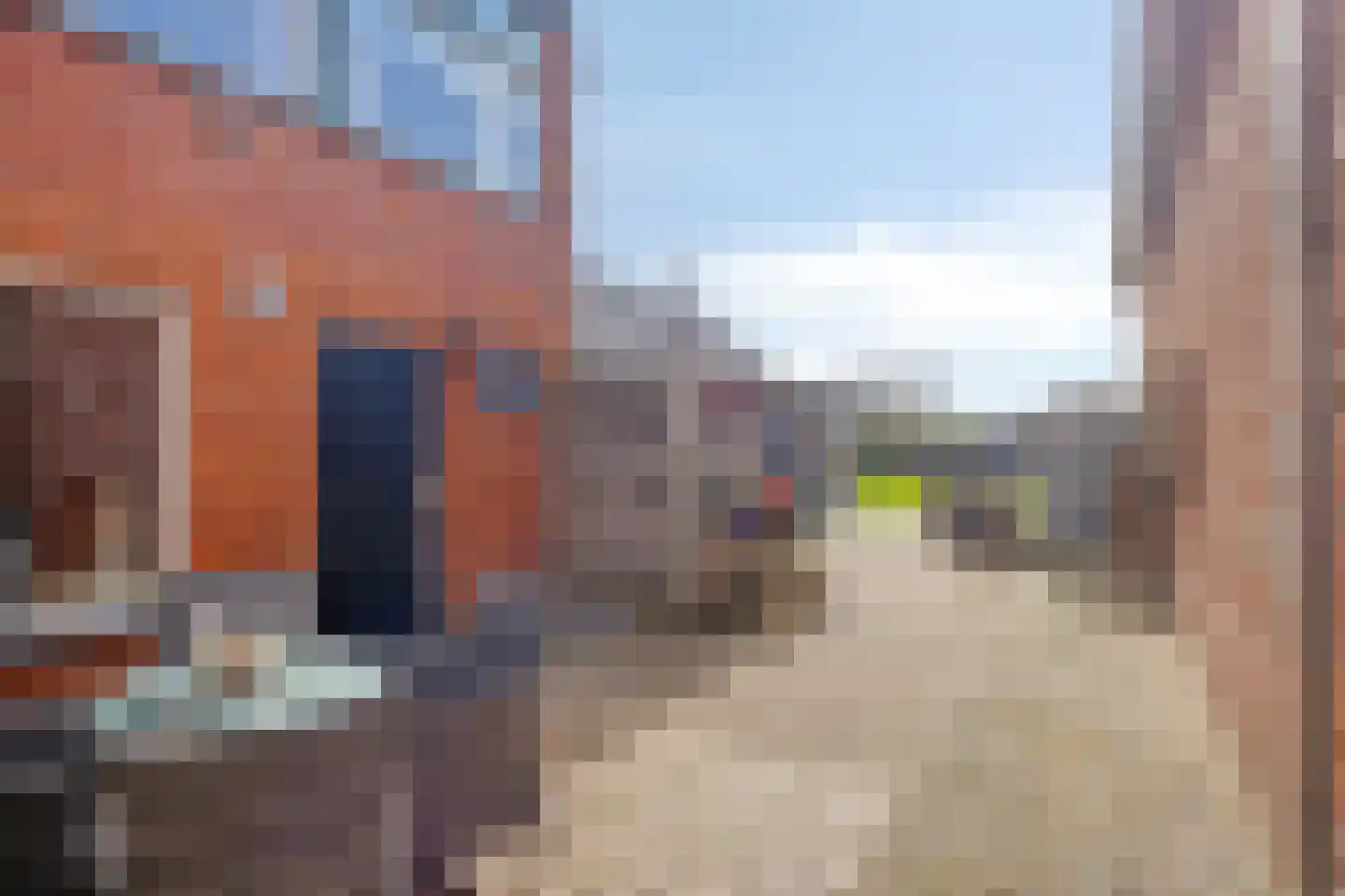 Walsoordensestraat 28 Walsoorden thumbnail 25