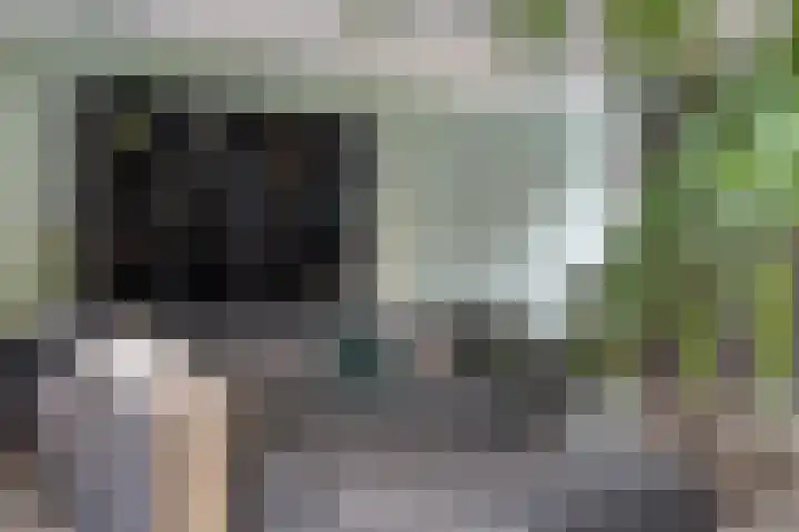Walsstukke 5 Eibergen thumbnail 11