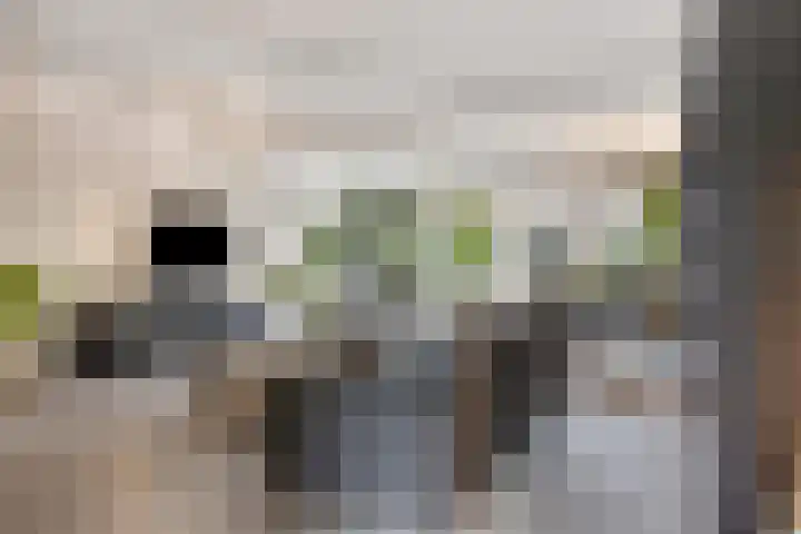 Walsstukke 5 Eibergen thumbnail 12
