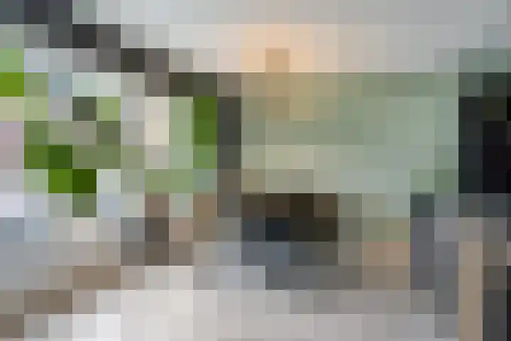 Walsstukke 5 Eibergen thumbnail 13