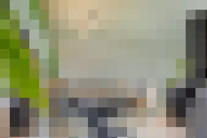Walsstukke 5 Eibergen thumbnail 14