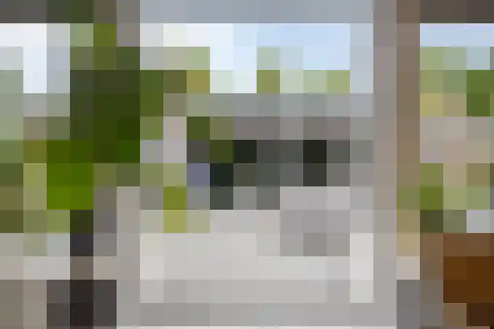 Walsstukke 5 Eibergen thumbnail 15