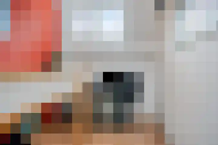 Walsstukke 5 Eibergen thumbnail 24