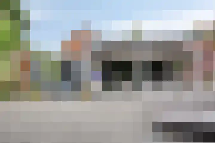 Walsstukke 5 Eibergen thumbnail 34