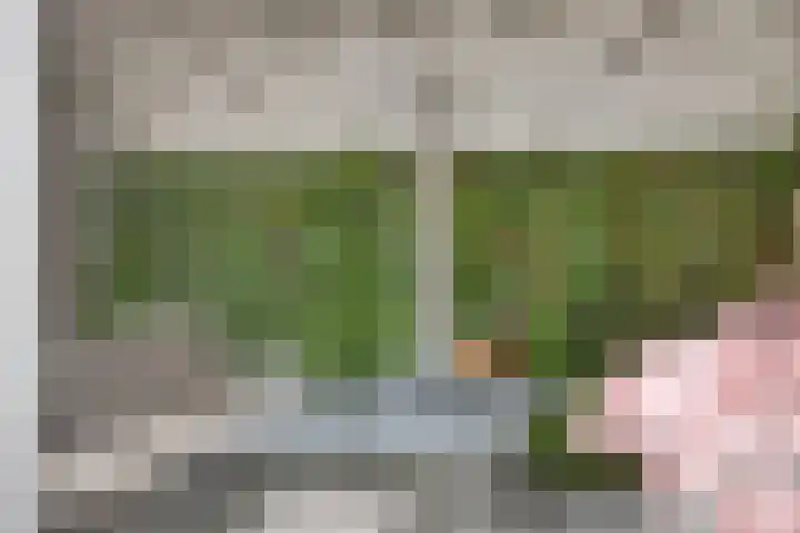 Walsstukke 5 Eibergen thumbnail 38