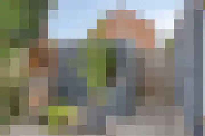 Walsstukke 5 Eibergen thumbnail 39