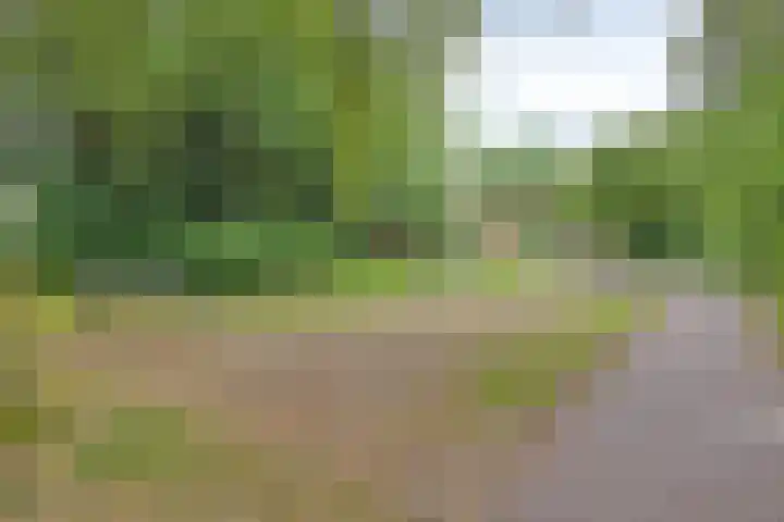Walsstukke 5 Eibergen thumbnail 42