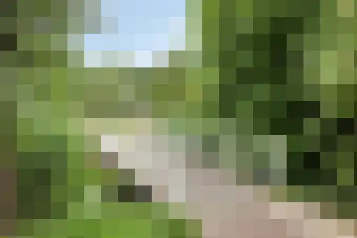 Walsstukke 5 Eibergen thumbnail 43