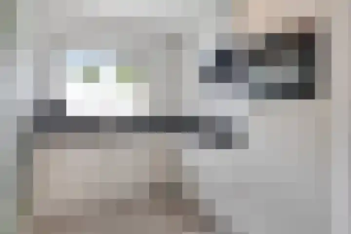 Walsstukke 5 Eibergen thumbnail 5