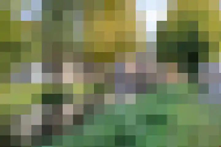 Walsteeg 35 Lochem thumbnail 12
