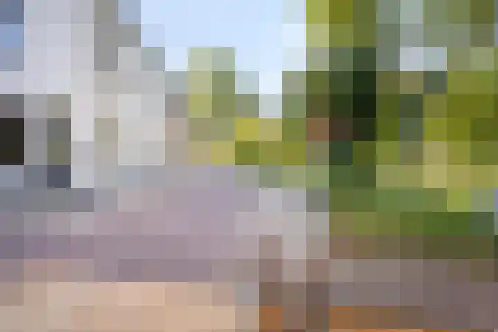 Walsteeg 35 Lochem thumbnail 4