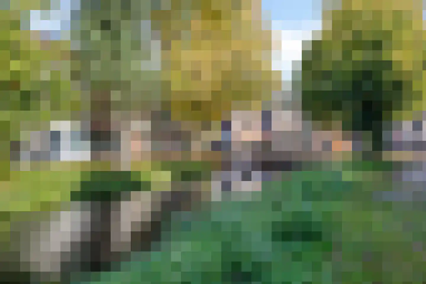Walsteeg 37 Lochem thumbnail 13