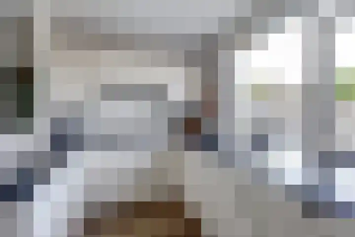Walstein 14 Harderwijk thumbnail 10