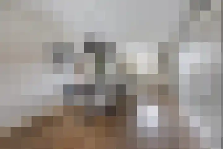 Walstein 14 Harderwijk thumbnail 13