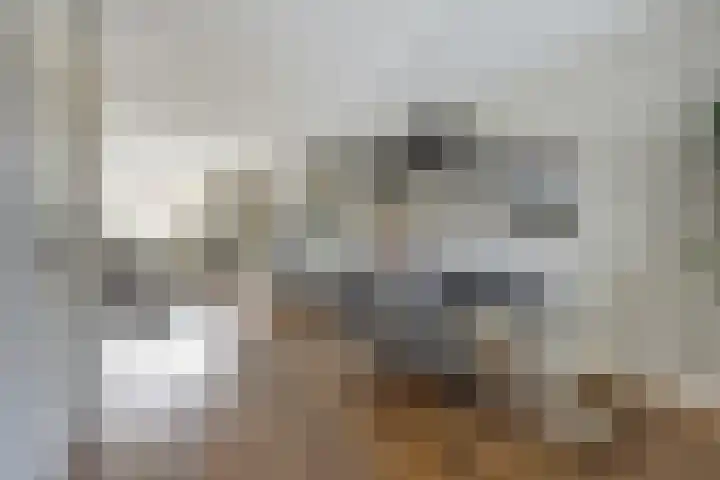Walstein 14 Harderwijk thumbnail 14