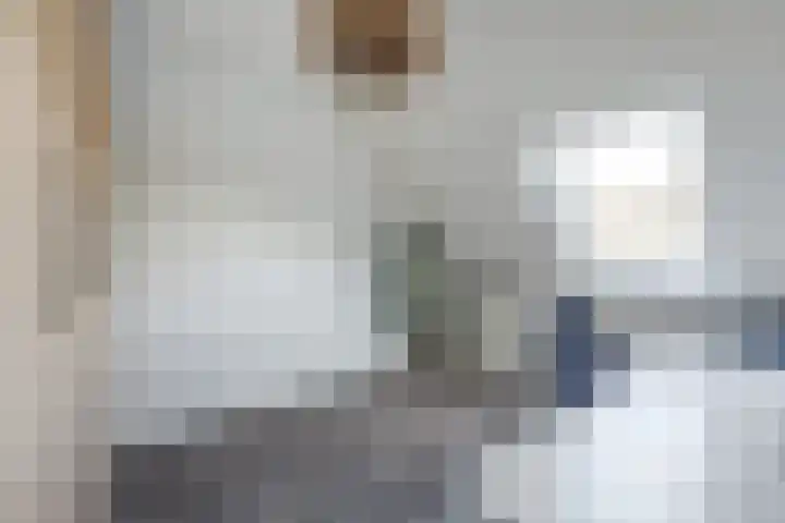 Walstein 14 Harderwijk thumbnail 18