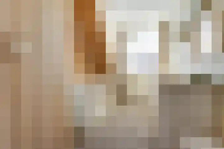 Walstein 14 Harderwijk thumbnail 20