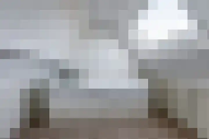 Walstein 14 Harderwijk thumbnail 26