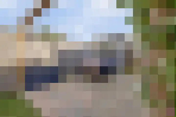 Walstein 14 Harderwijk thumbnail 31