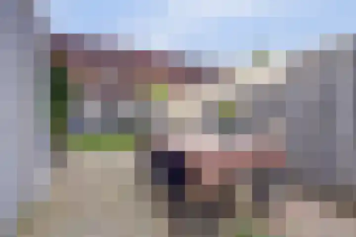 Walstein 14 Harderwijk thumbnail 32