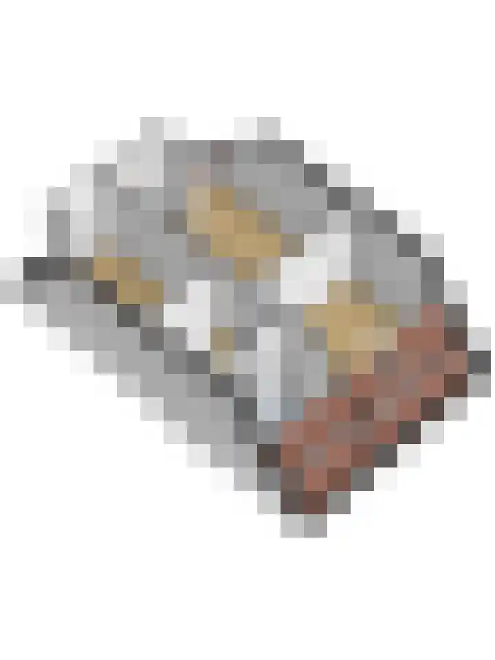 Walstein 14 Harderwijk thumbnail 39