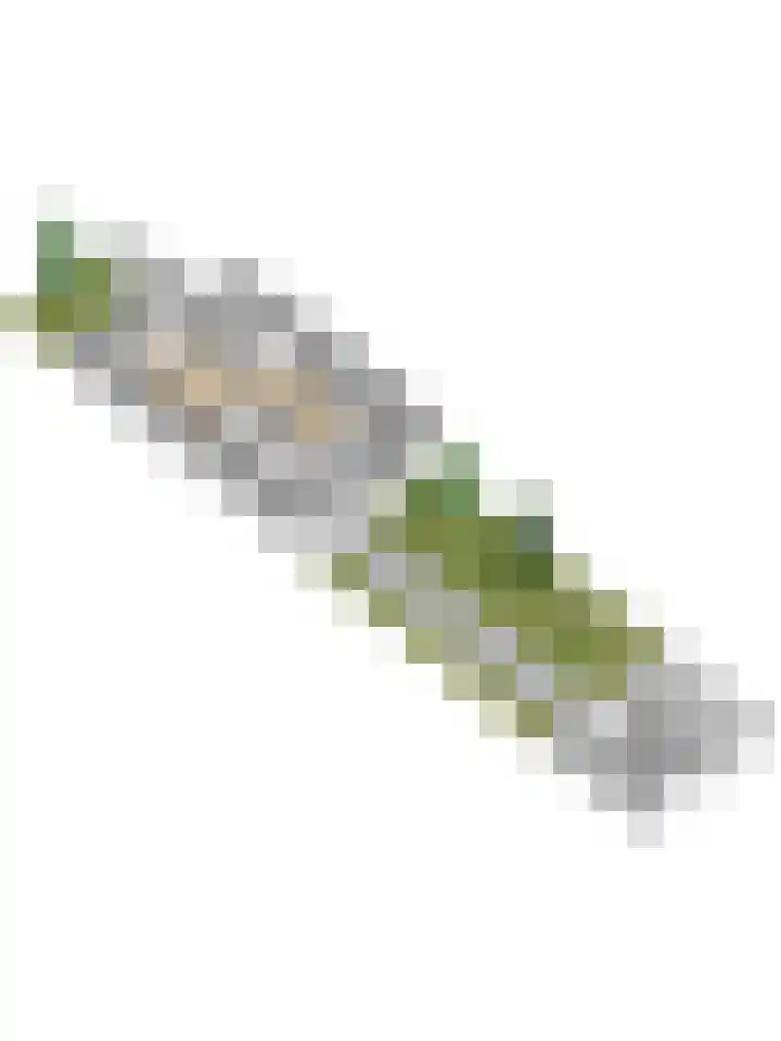 Walstein 14 Harderwijk thumbnail 43