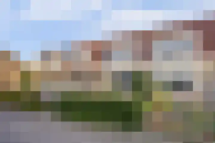 Walstein 14 Harderwijk thumbnail 5