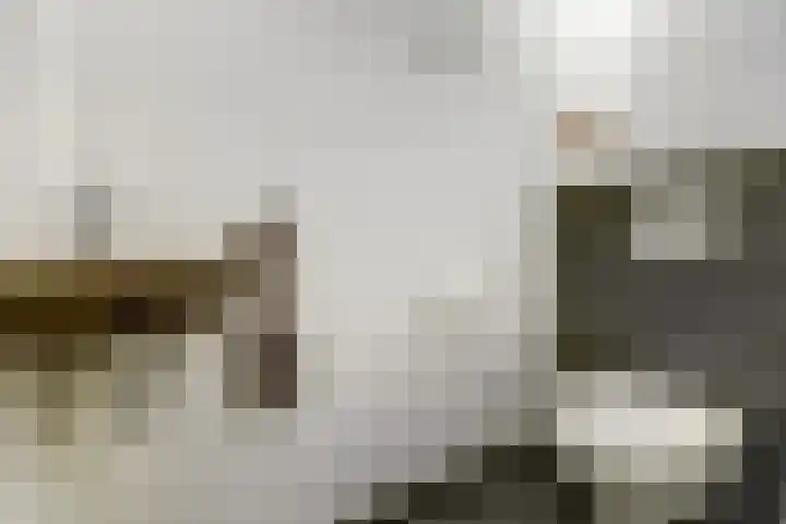 Walstein 14 Harderwijk thumbnail 7