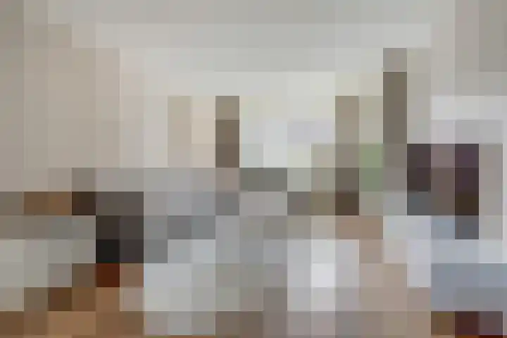 Walstein 14 Harderwijk thumbnail 8