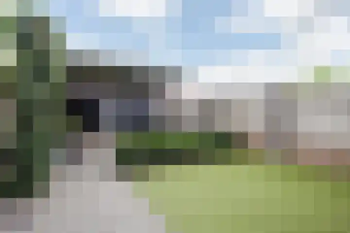 Walstein 75 Harderwijk thumbnail 30