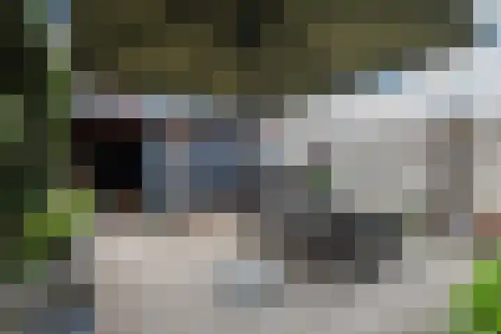 Walstein 75 Harderwijk thumbnail 32