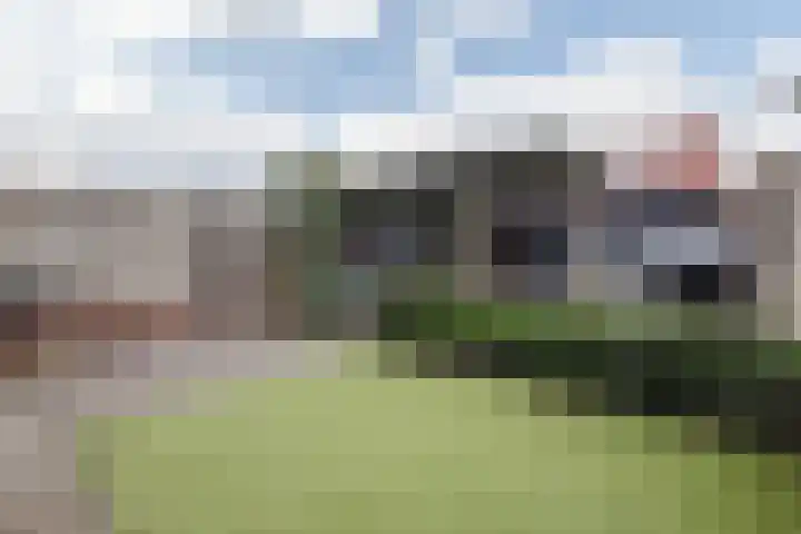 Walstein 75 Harderwijk thumbnail 33