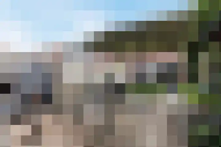 Walstein 75 Harderwijk thumbnail 34