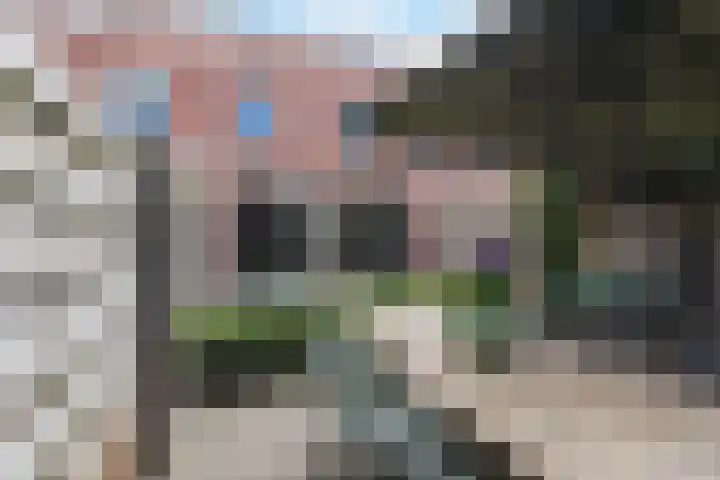 Walstein 75 Harderwijk thumbnail 35