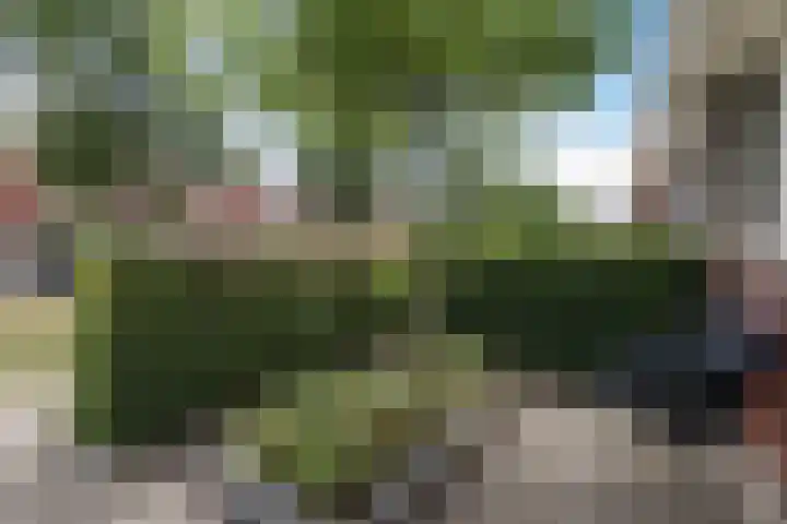 Walstein 75 Harderwijk thumbnail 38