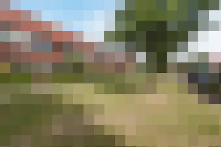 Walstein 75 Harderwijk thumbnail 39