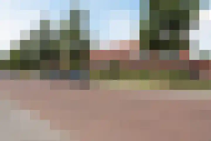 Walstein 75 Harderwijk thumbnail 40